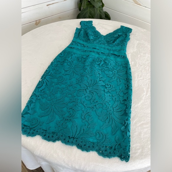 Tadashi Shoji Size 8 Embroidered Lace Sheath Dress - Picture 7 of 17